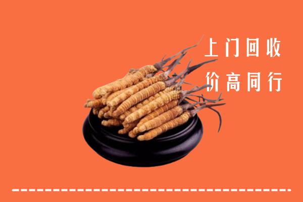高价求购：哈尔滨市延寿县回收散虫草