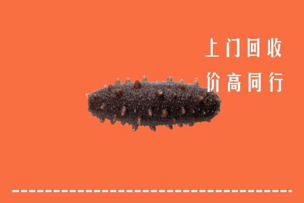 高价求购：哈尔滨市延寿县回收海参