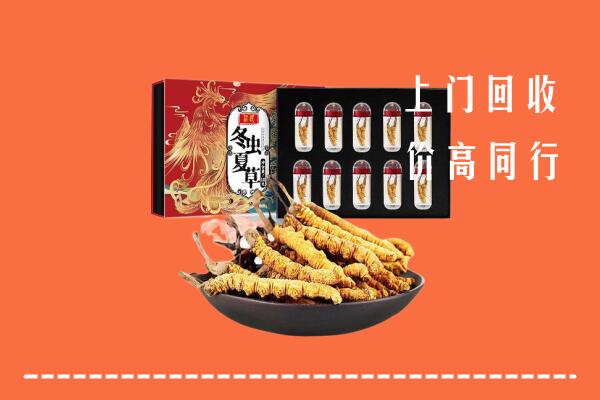 哈尔滨市延寿县回收虫草